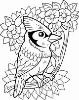 Coloring vector Illustration Free Download sketch template