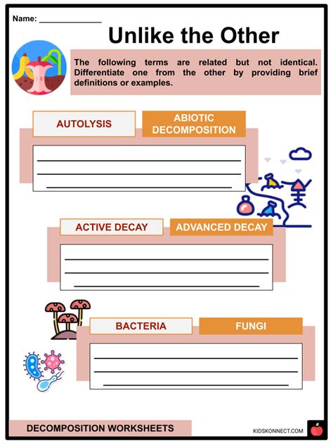 Decomposition Worksheets | Terminology, Function, Organisms