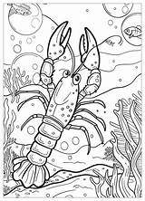 Lobster Coloring Pages  Fun & Educational Art For Kids – MrColoringCom sketch template
