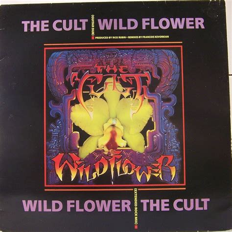 THE CULT - WILD FLOWER [IMPORT 12"] - Amazon.com Music