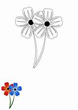 Lily Flower Coloring Pages Template  Edit Online & Download Example sketch template