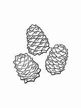 Pine Cone Coloring Pages Printable Sketch Page sketch template