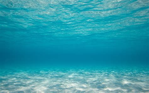 HD wallpaper: blue body of water, sea, underwater, backgrounds ...