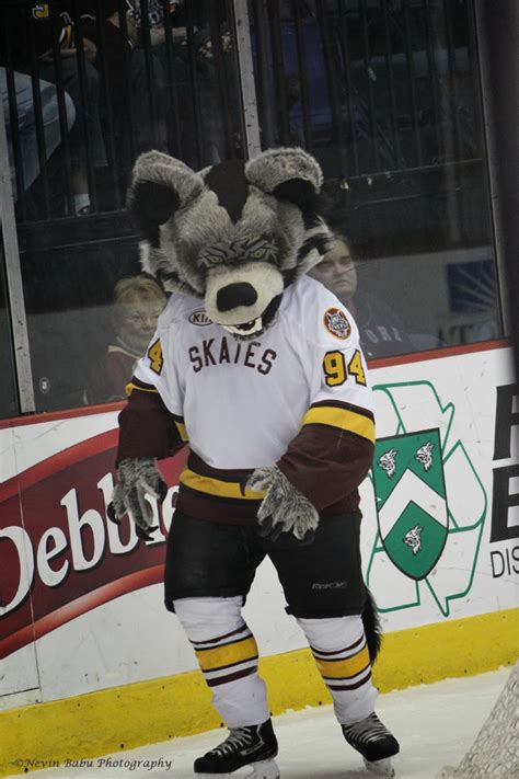 SKATES - The Chicago Wolves Mascot - THROUGH THE LENS