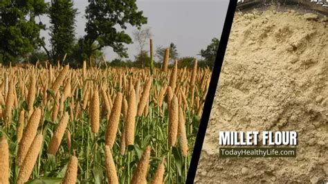 What is Millet flour? is it gluten free? nutrition, substitute & all