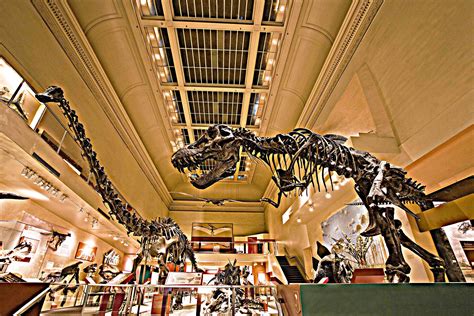 Smithsonian Insider – $35-million donation will build new dinosaur hall ...