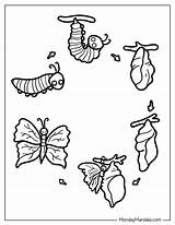 20 Caterpillar Coloring Pages Free PDF Printables sketch template