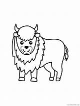 Bison Coloring Pages Animal Printable Sheets bison 2 2021 0515  sketch template