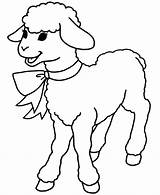 Free Lamb coloring Page  Download Print Or Color Online For sketch template