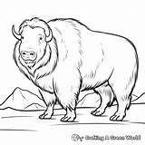 Musk Ox Coloring Pages  Free & Printable sketch template