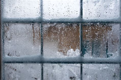 Why There is Ice on the Inside of Windows (& What to Do) | Apartment Therapy