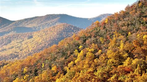 Temperate Broadleaf and Mixed Forest — Ecology Pocket Guide