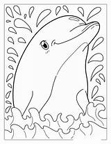Printable Coloring Pages Dolphins & coloring Book sketch template