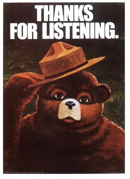 happy smokey Big Bear Camping, Us Forest Service, Smokey The Bears ...