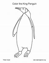 King Penguin Coloring Page sketch template