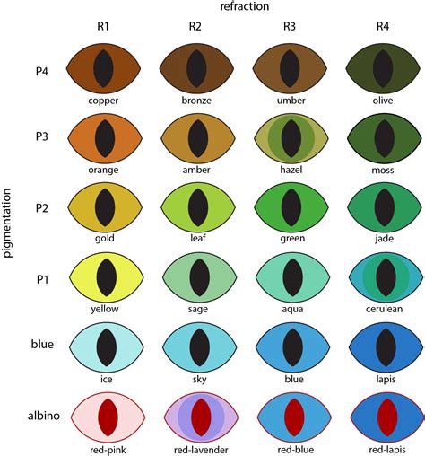 8 best eye color chart genetics images in 2020 eye color chart eye - behind these hazel eyes ...