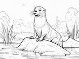 Charming River Otter Coloring For Kids  Page sketch template