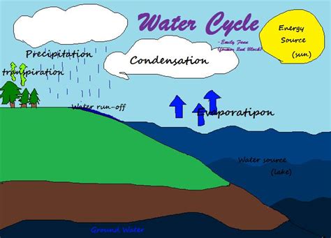 Water Cycle by H2O-mElOnGeEk on DeviantArt