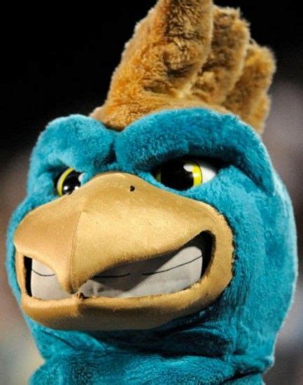A look at the strangest NCAA Tournament mascots | Ncaa tournament, Mascot, Ncaa