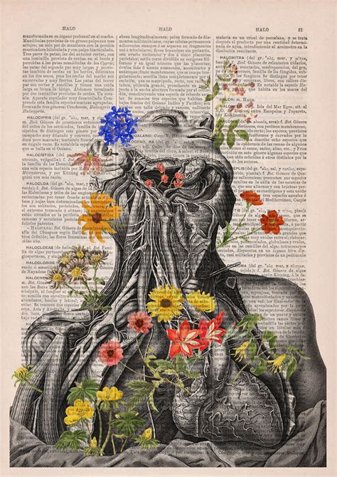 Floral Anatomy Illustrations On The Pages Of Old Books | DeMilked