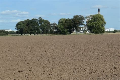 Trees south of Percy Lodge, near Goole © Christine Johnstone cc-by-sa/2 ...