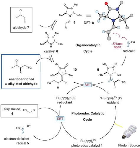 Merging Photoredox Catalysis with Organocatalysis: The Direct ...