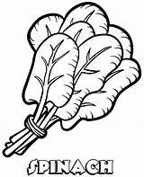 Spinach Coloring Page  Free Printable Pages sketch template