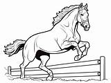 Horse Jumping Coloring For Kids  Page sketch template