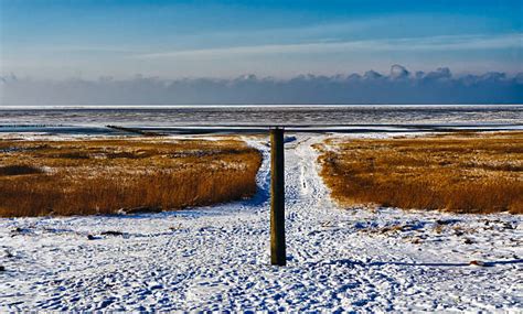 100+ Esbjerg Weather Stock Photos, Pictures & Royalty-Free Images - iStock