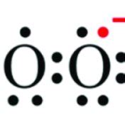Lewis structure of the anion superoxide. | Download Scientific Diagram