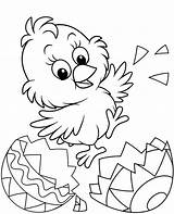 Easter chick coloring Page For sketch template