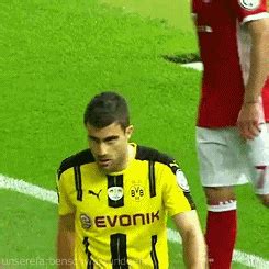 Ich hab mein Leben dir vermacht | Borussia dortmund, Dortmund und Bvb