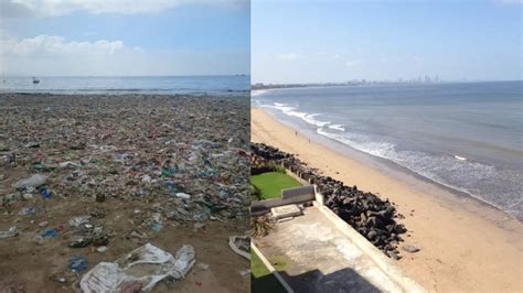 In Pics: Mumbai’s Versova Beach Sparkles After Mass Cleanup Drive