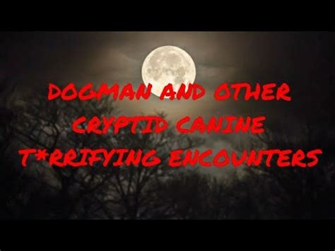 DOGMAN AND OTHER CRYPTID CANINE T*RRIFYING ENCOUNTERS - YouTube