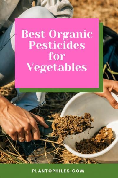 10 Best Organic Pesticides for Vegetables [2023]