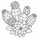 Floral Cactus Coloring Pages Beautiful Designs Of Cacti With Flowers  sketch template