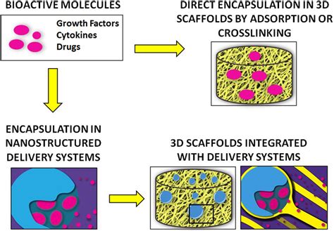 Frontiers | Nanostructured Biomaterials for Bone Regeneration