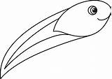 Cute Tadpole coloring Page  Free Printable Coloring Pages sketch template