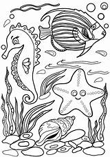 Free SEAHORSE Coloring Pages For Download Printable PDF  VerbNow sketch template