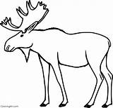 Moose Coloring Pages 53 Free Printables  ColoringAll sketch template