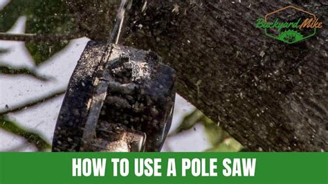 How to Use a Pole Saw - YouTube