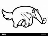 Anteater Coloring Pages sketch template