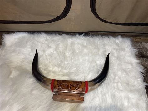 Wood-Mounted Genuine cow Horns Decoration | eBay