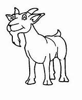 Animal Colouring Pages Goats Coloring sketch template