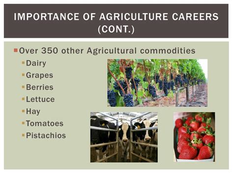 PPT - Careers in Agriculture PowerPoint Presentation, free download - ID:1696659