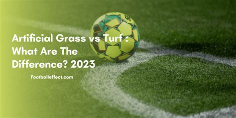 Artificial Grass vs Turf : What Are The Difference? 2023