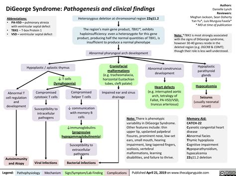 DiGeorge Syndrome: Pathogenesis and Clinical Findings | Calgary Guide