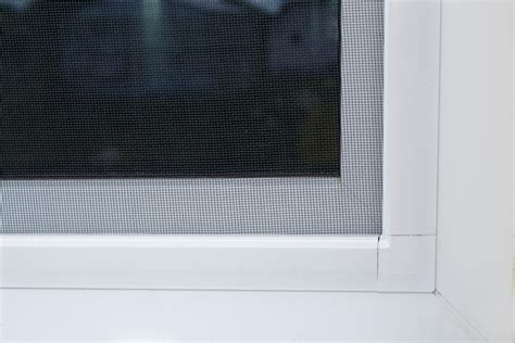 The Benefits of Installing Window Screens | All Things Windows