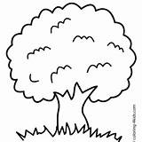 Simple Tree Coloring Page Printable For Free Download sketch template