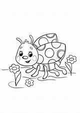 Lieveheersbeestje kleurplaat Om Gratis Af Te Drukken sketch template